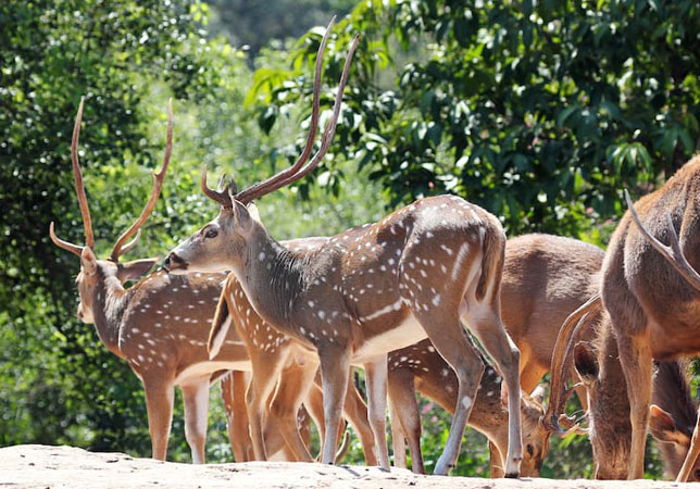 wildlife-sanctuary-1